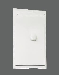 Seth Price - White Breast