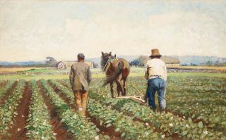 Severin Nilson - Cultivating potatoes