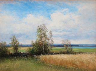 Severin Nilson - Landscape with birch trees