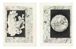 Shahzia Sikander - Fantastical Forms #1 and #2