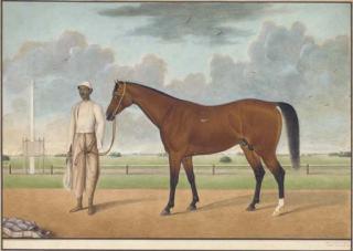 Shaikh Muhammad Amir of Karraya - A bay horse standing with a groom