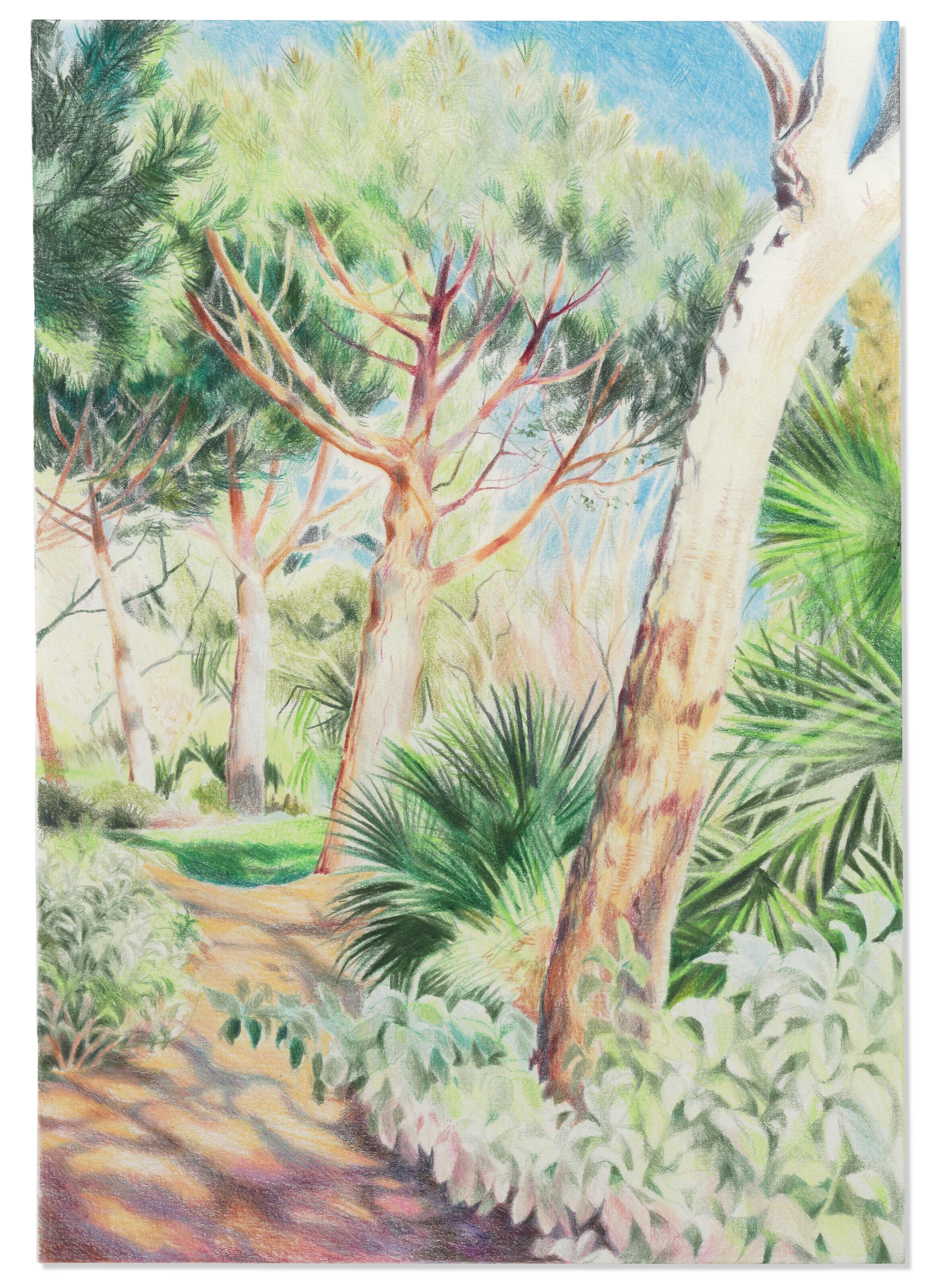 Shandy - Mediterranean Garden at Kew, 2022