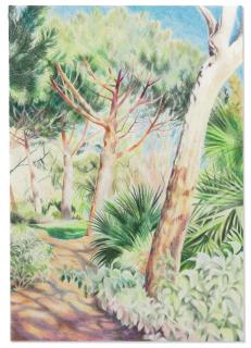 Shandy - Mediterranean Garden at Kew, 2022