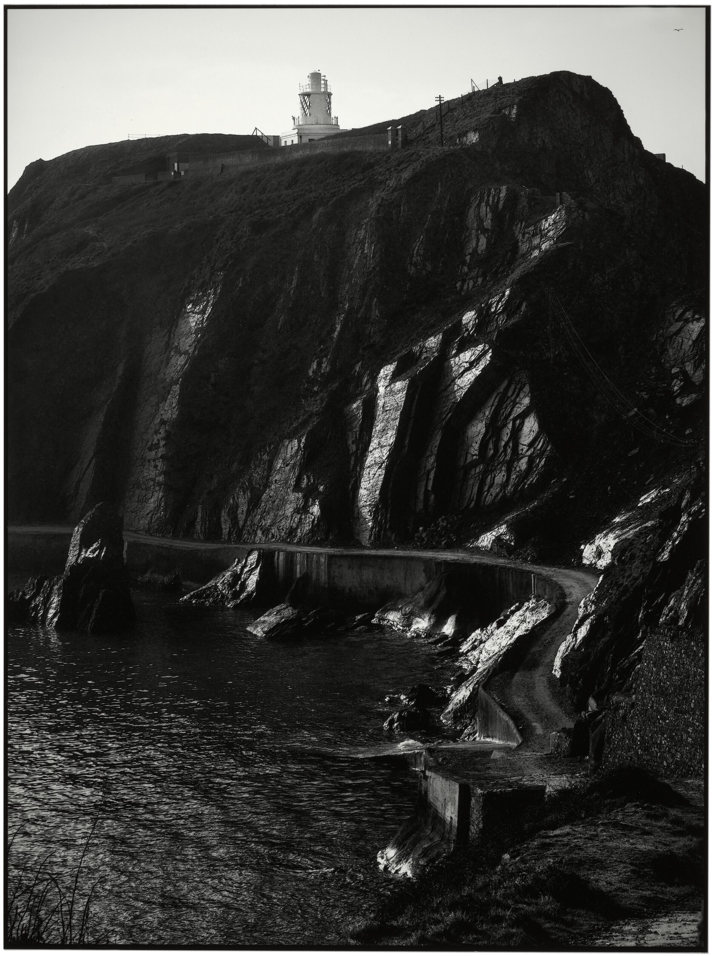 Shandy - South Light, 2023