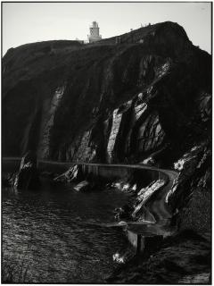 Shandy - South Light, 2023