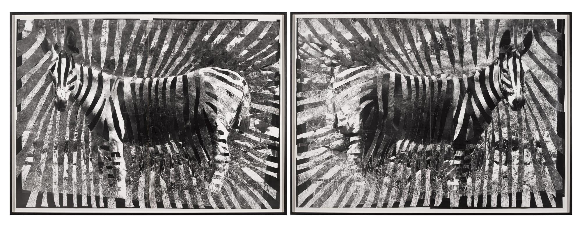 Shannon Bool - Gaza Zebras