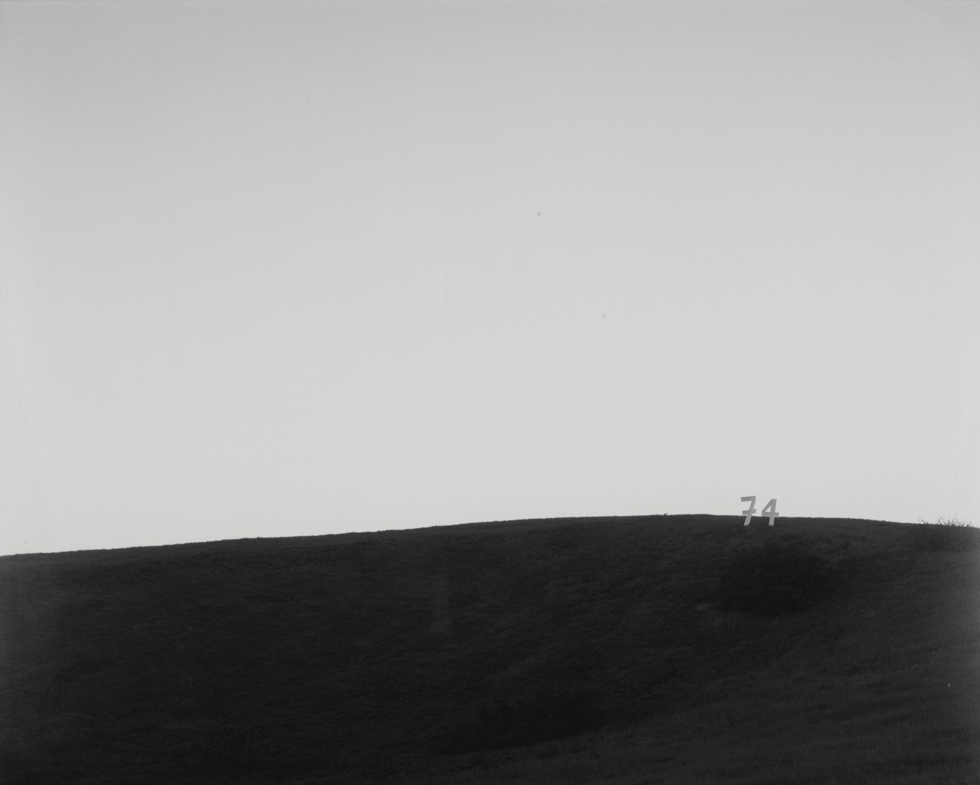 Shannon Ebner - Milk Double Horizon