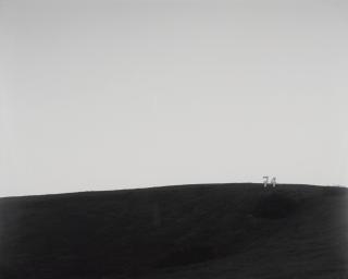 Shannon Ebner - Milk Double Horizon