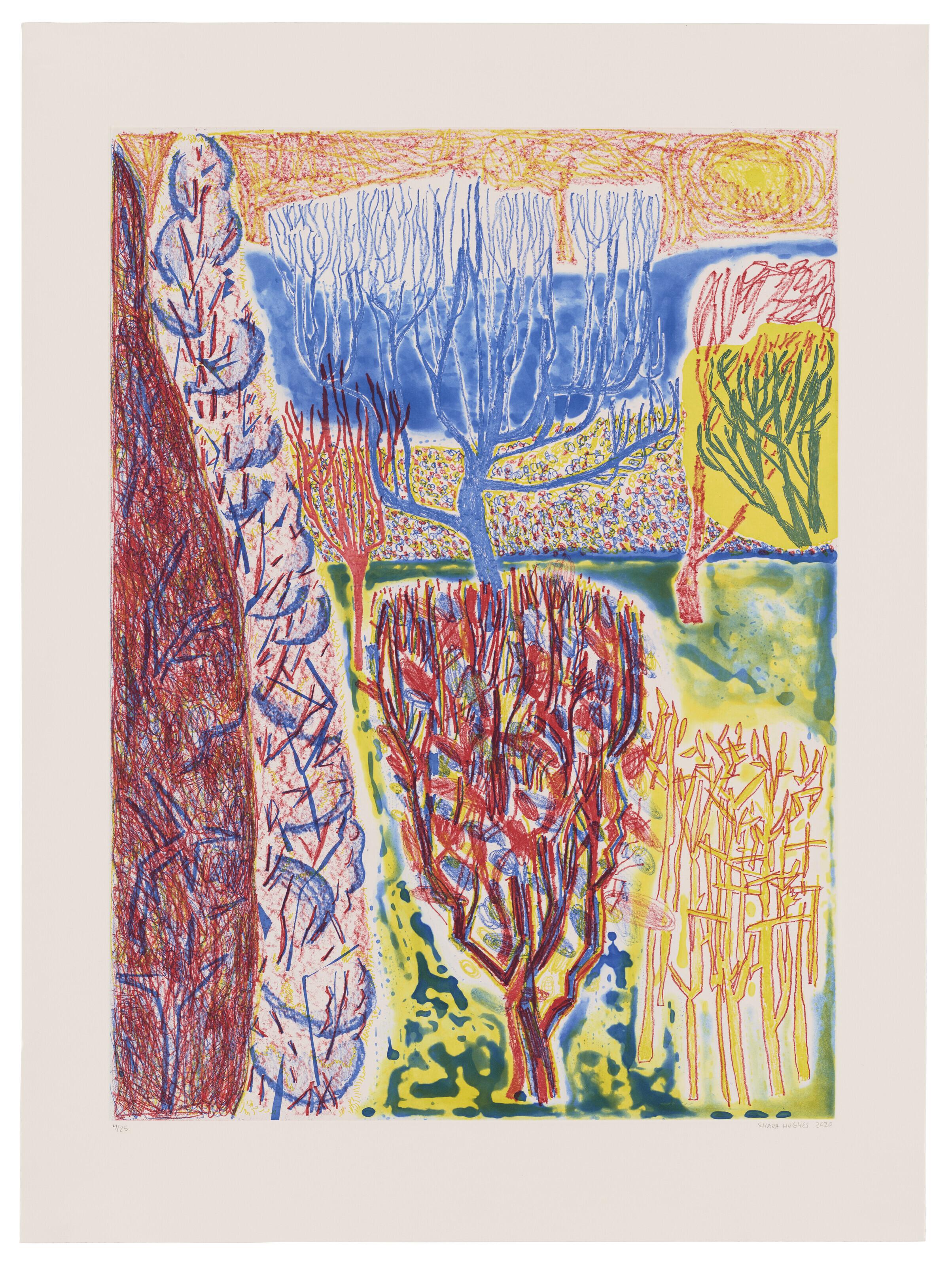 Shara Hughes - Finding Balance