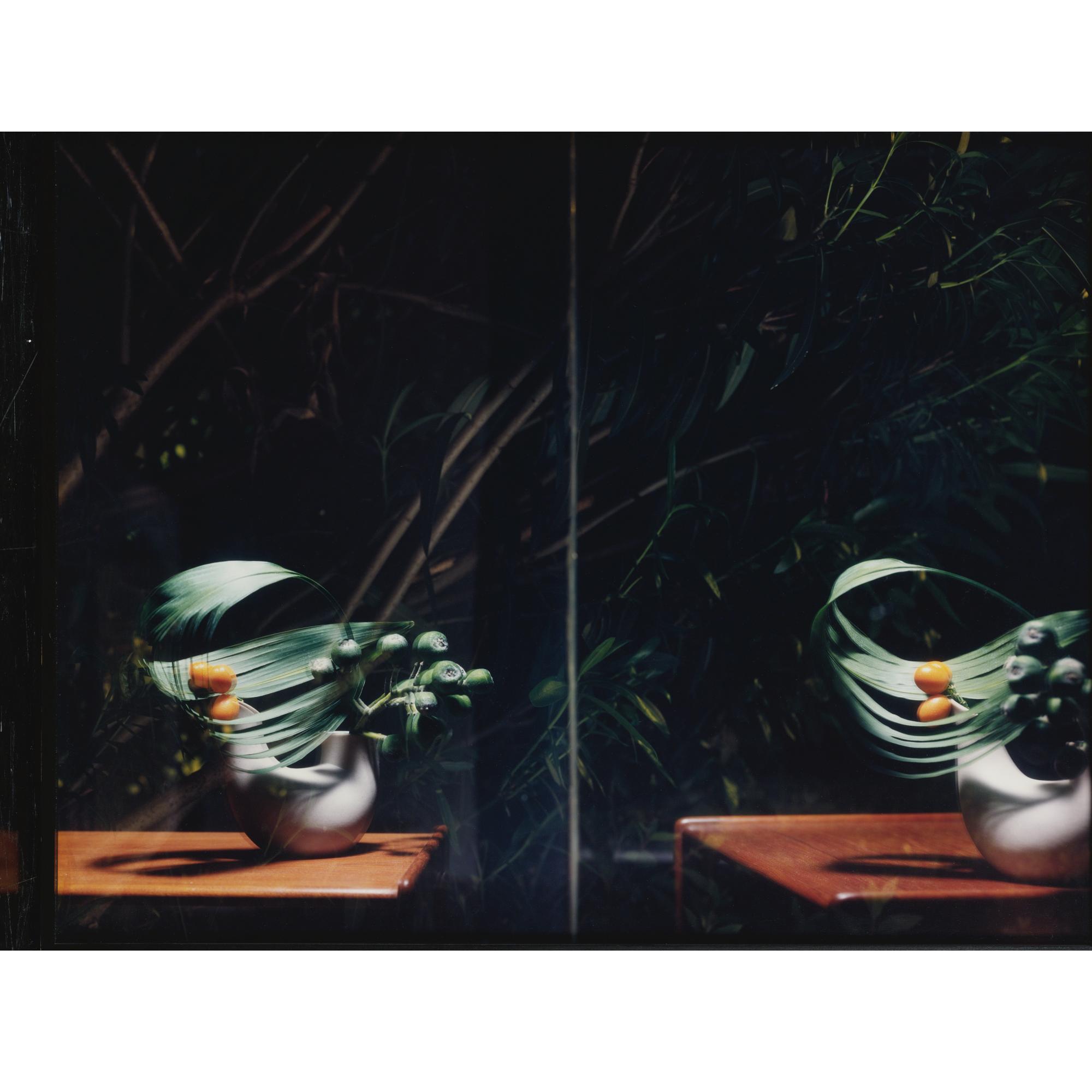 Sharon Lockhart - Untitled (Double Still Life Of Flowers)