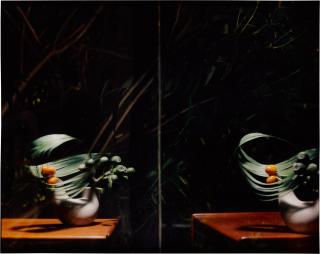 Sharon Lockhart - Untitled