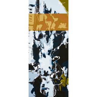 Shaun Gladwell - Australian The Second Door