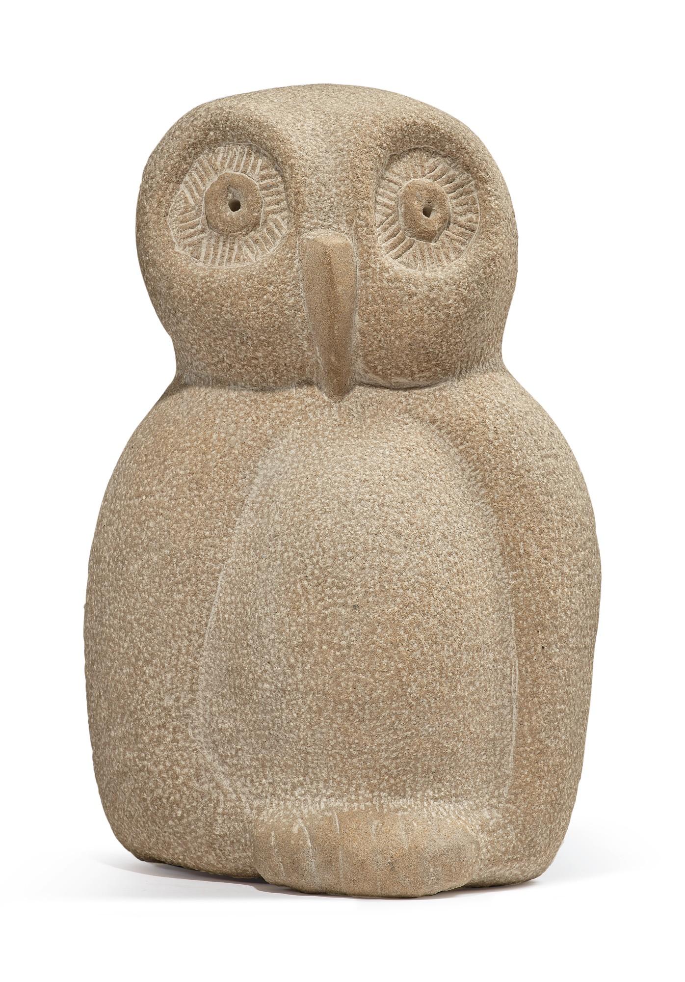 Shay Rieger - Young Owl