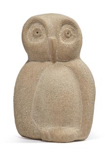 Shay Rieger - Young Owl