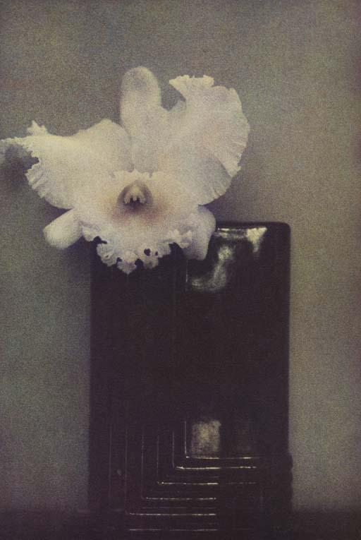 Sheila Metzner - L\'orchidée de Mondrian