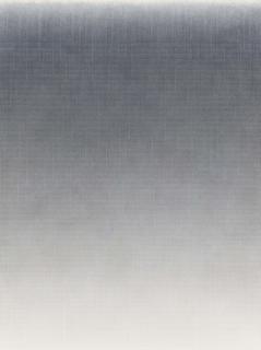 Shen Chen - Ohne Titel Nr. 50445-12.