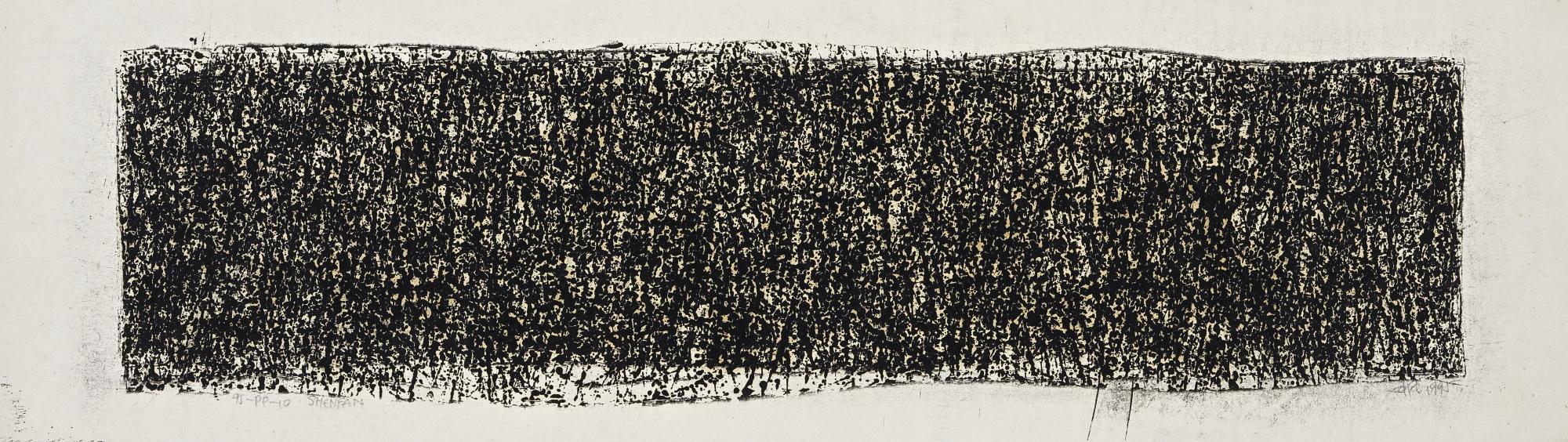 Shen Fan - Untitled 95-Pp-10