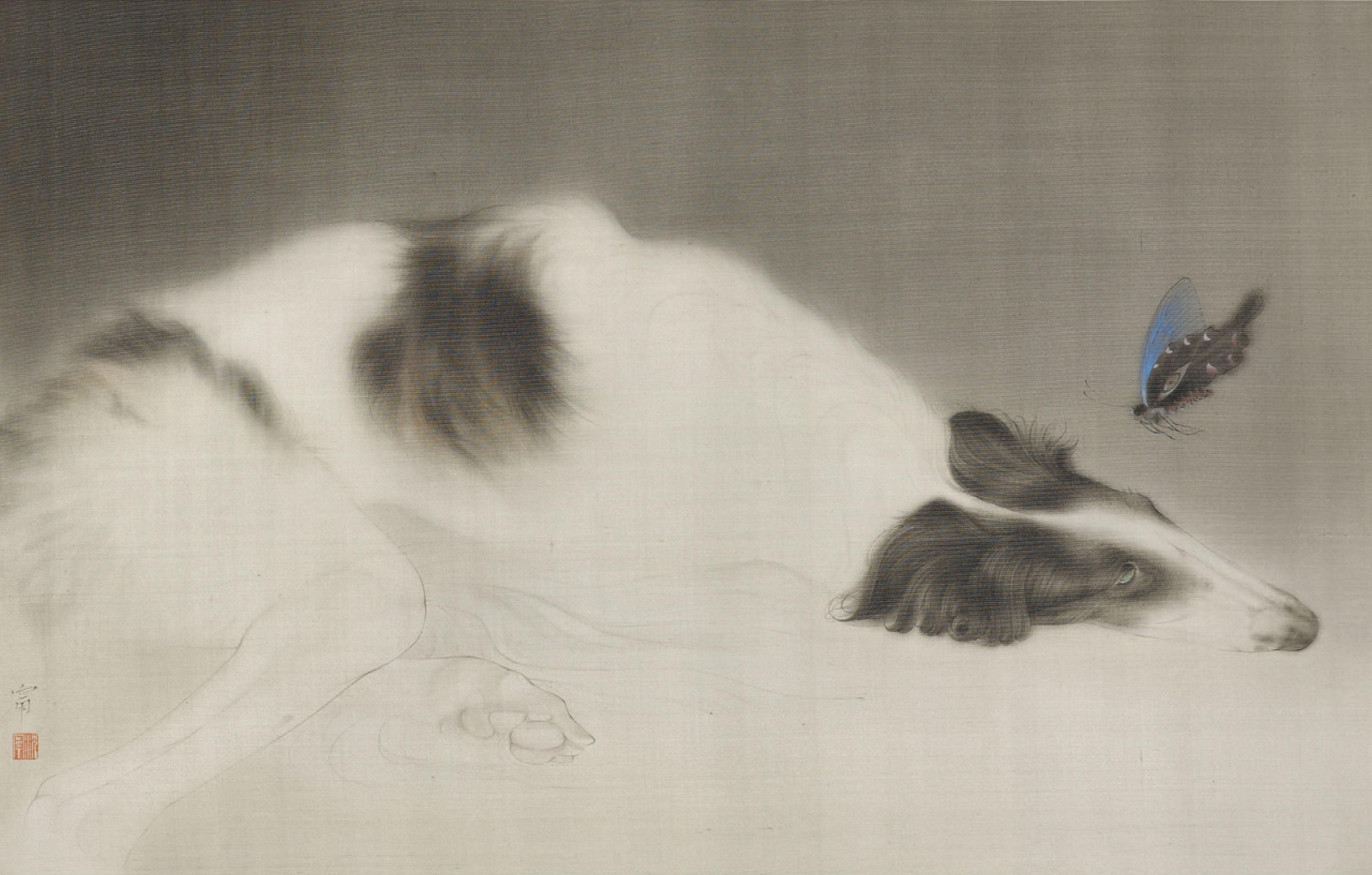 Shen Ning - Dreaming of Butterfly