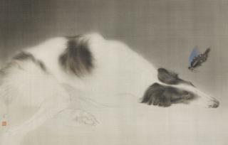 Shen Ning - Dreaming of Butterfly