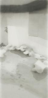 Shen Qin - Courtyard