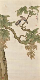 Shen Quan - Birds On A Wutong Tree