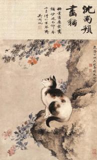 Shen Quan - Cat