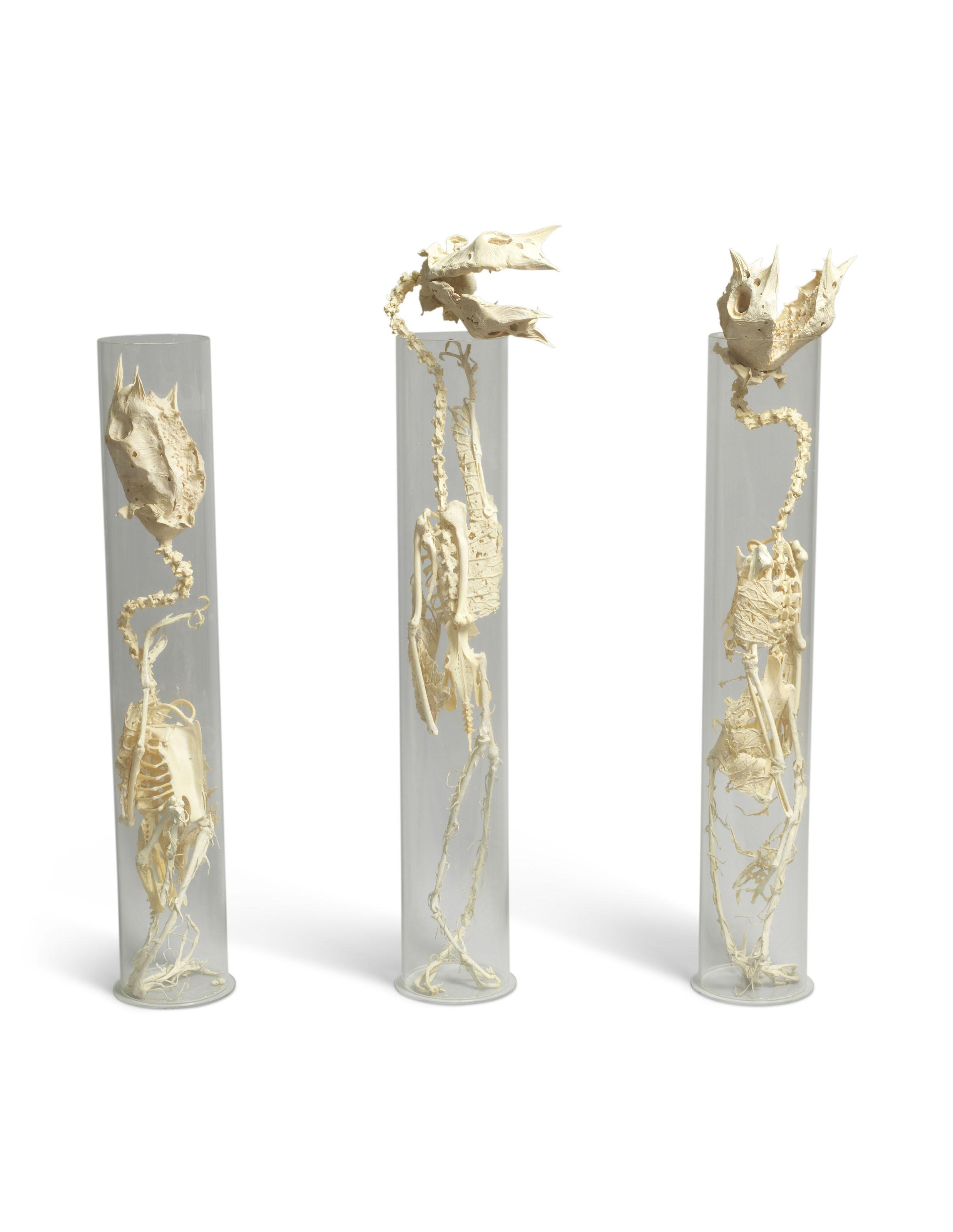 Shen Shaomin - Experimental Studio No. 2 - Sunflower (3 Works)