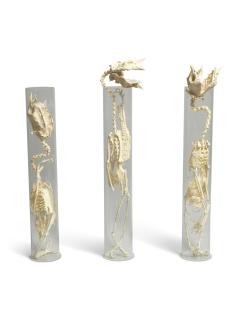 Shen Shaomin - Experimental Studio No. 2 - Sunflower (3 Works)