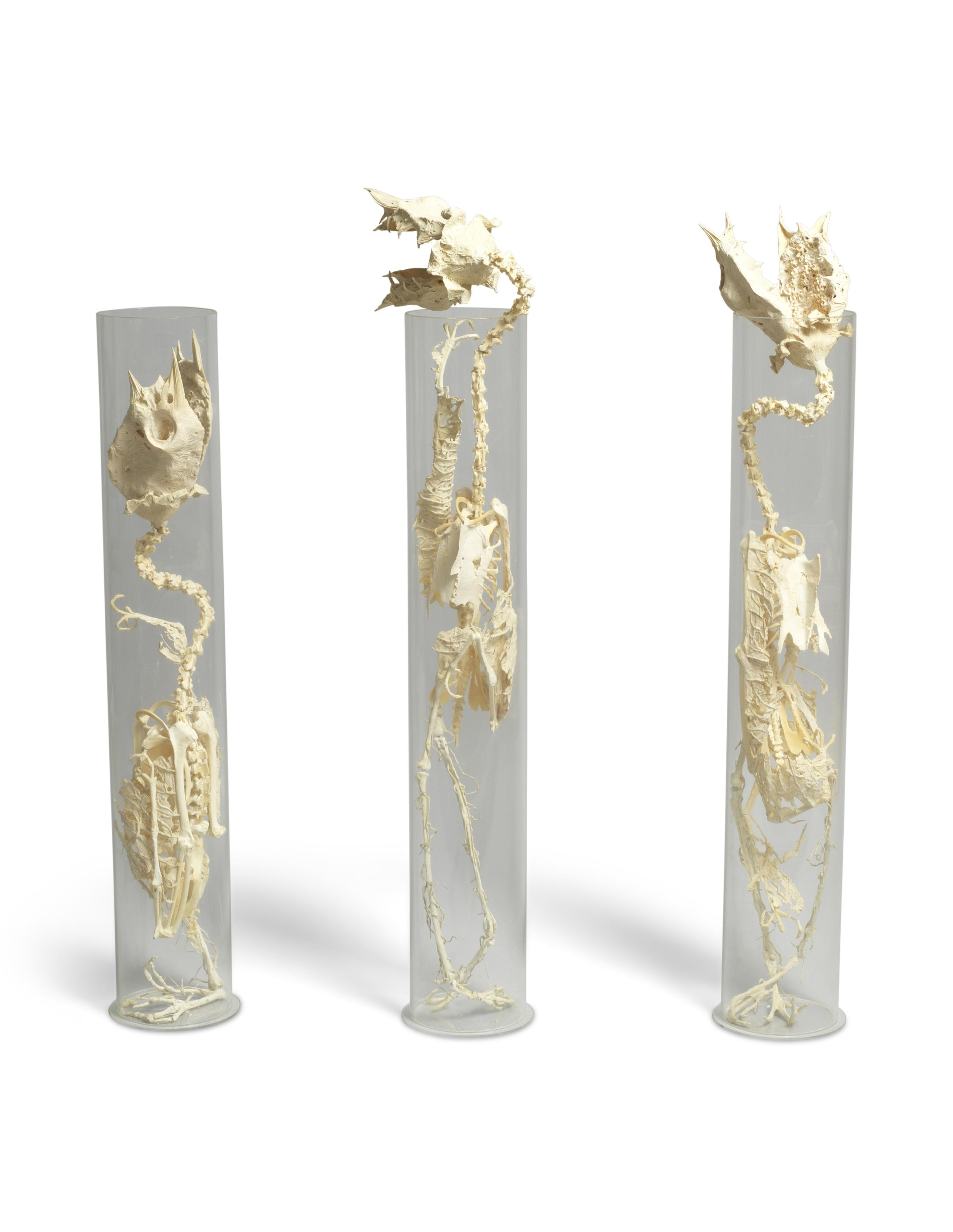 Shen Shaomin - Experimental Studio No. 2 - Sunflower (Three Works)