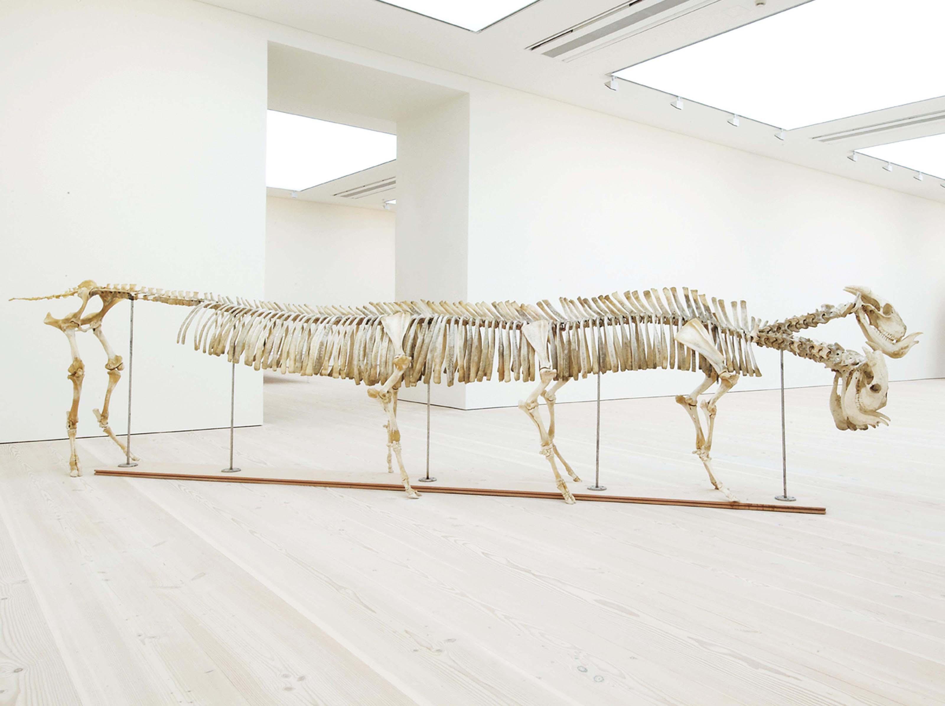 Shen Shaomin - Unknown Creature - Three Headed Monster