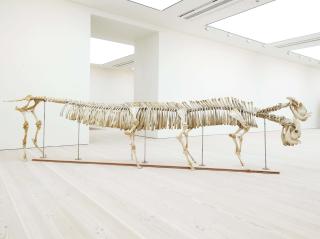 Shen Shaomin - Unknown Creature - Three Headed Monster