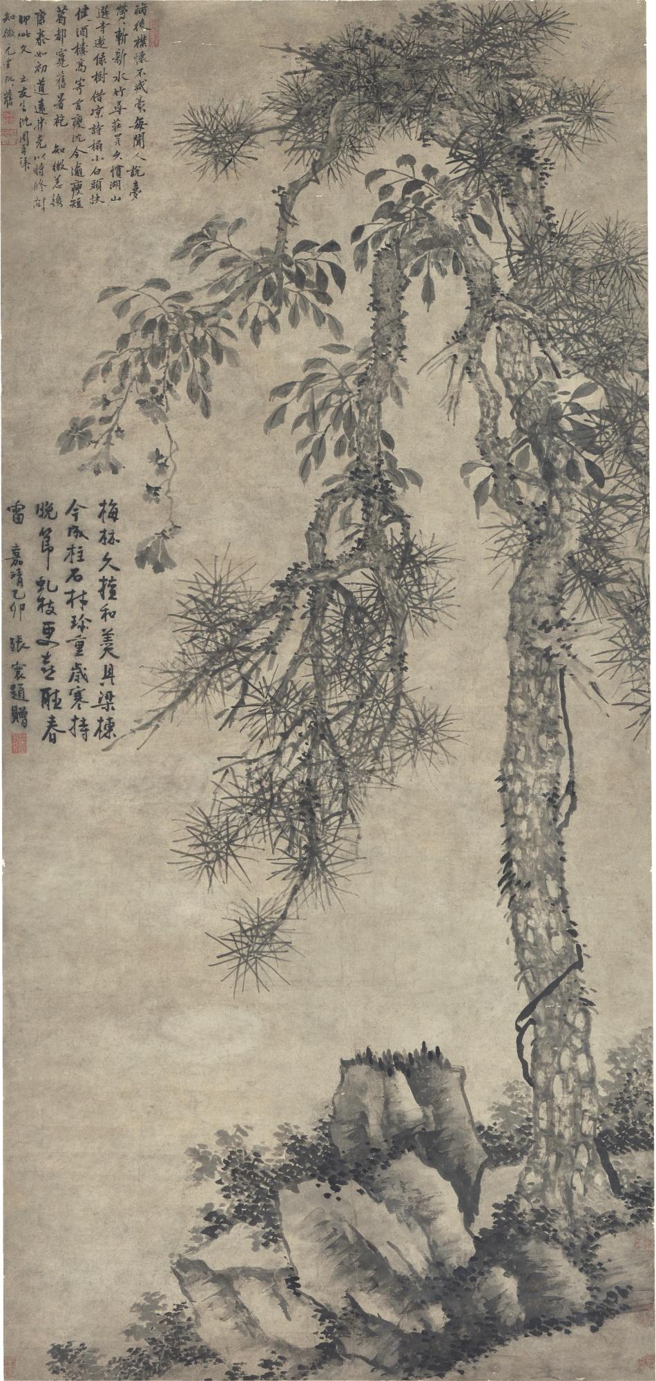 Shen Zhou - Pine And Rocks