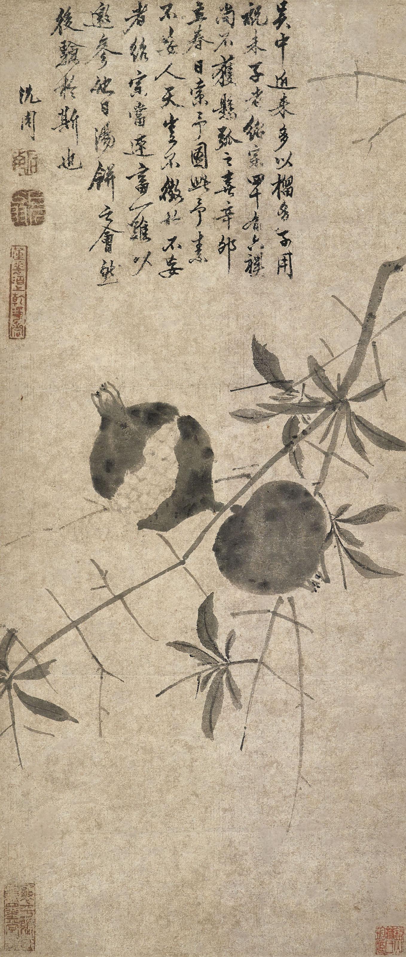 Shen Zhou - Pomegranate