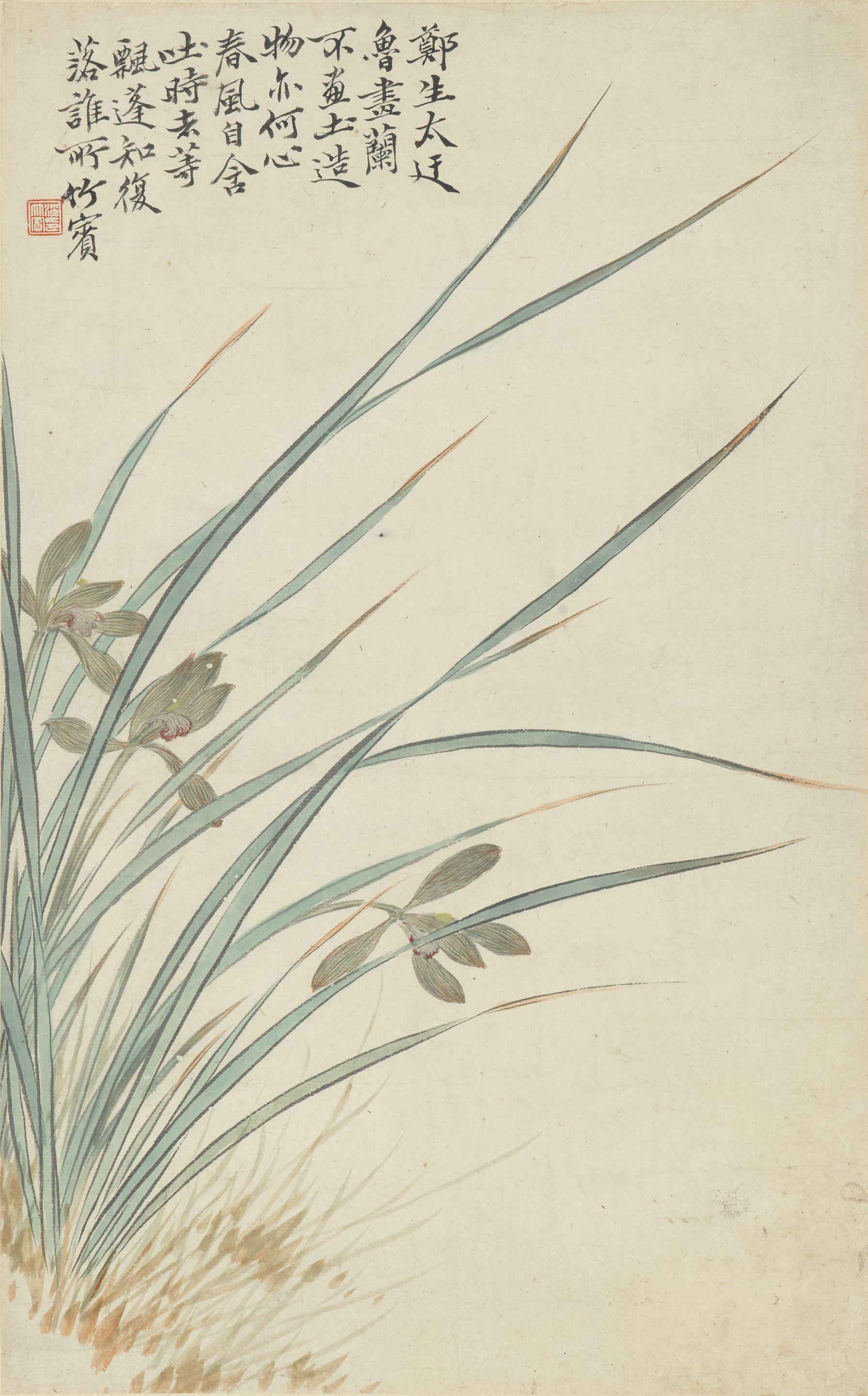 Shen Zhuo - Orchids