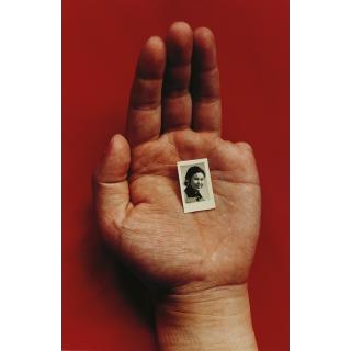 Sheng Qi - Memories Series (Mother)