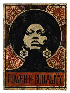 Shepard Fairey - Power And Equality