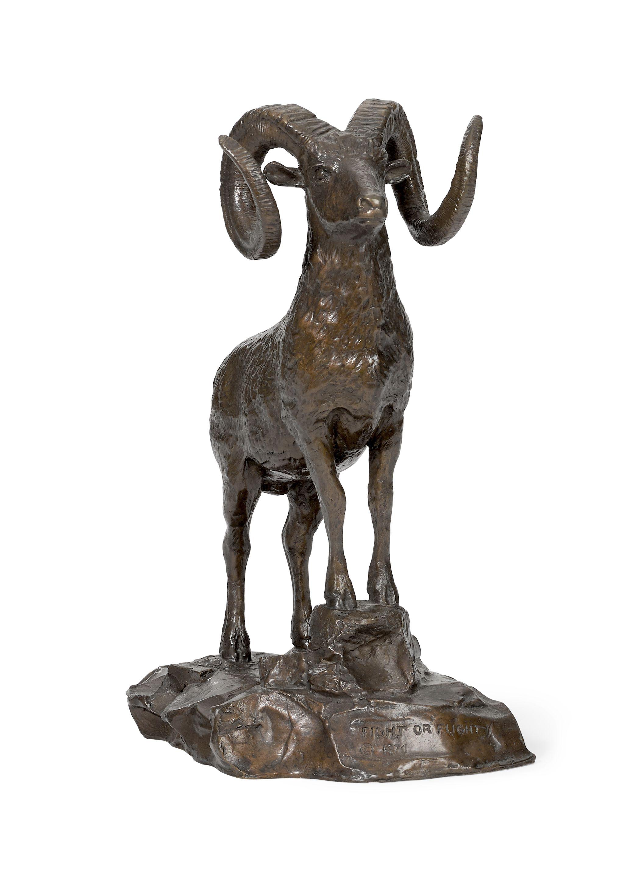 Sherman Tipton Coleman - Fight or Flight