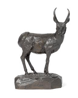 Sherman Tipton Coleman - Prairie Phantom