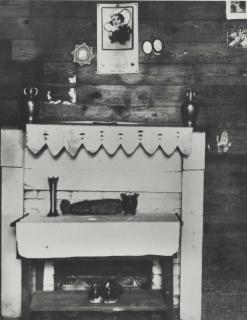 Sherrie Levine - After Walker Evans, 1981