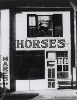 Sherrie Levine - After Walker Evans