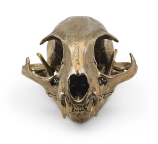 Sherrie Levine - Bobcat Skull