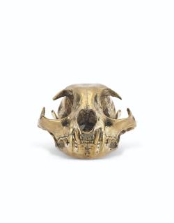 Sherrie Levine - Bobcat Skull