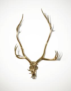 Sherrie Levine - Caribou Skull