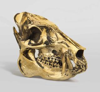 Sherrie Levine - Javelina