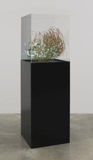 Shezad Dawood - The Compassionate