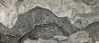 Shi Jin-Hua - Pen Walking #51 (Executed In 2008)