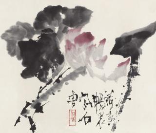 Shi Lu - Fragrance of Lotus