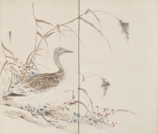 Shiba Kokan - Wild Goose, Reeds and Flowers