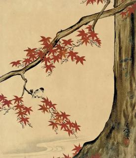 Shibata Zeshin - An urushi-e painting, lacquer on paper, depicting a bird in a maple tree, signed Zeshin and sealed, mounted as a hanging scroll