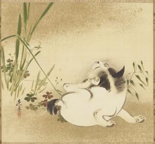Shibata Zeshin - Cat Scratching its Ear